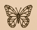 A Geometric Butterfly