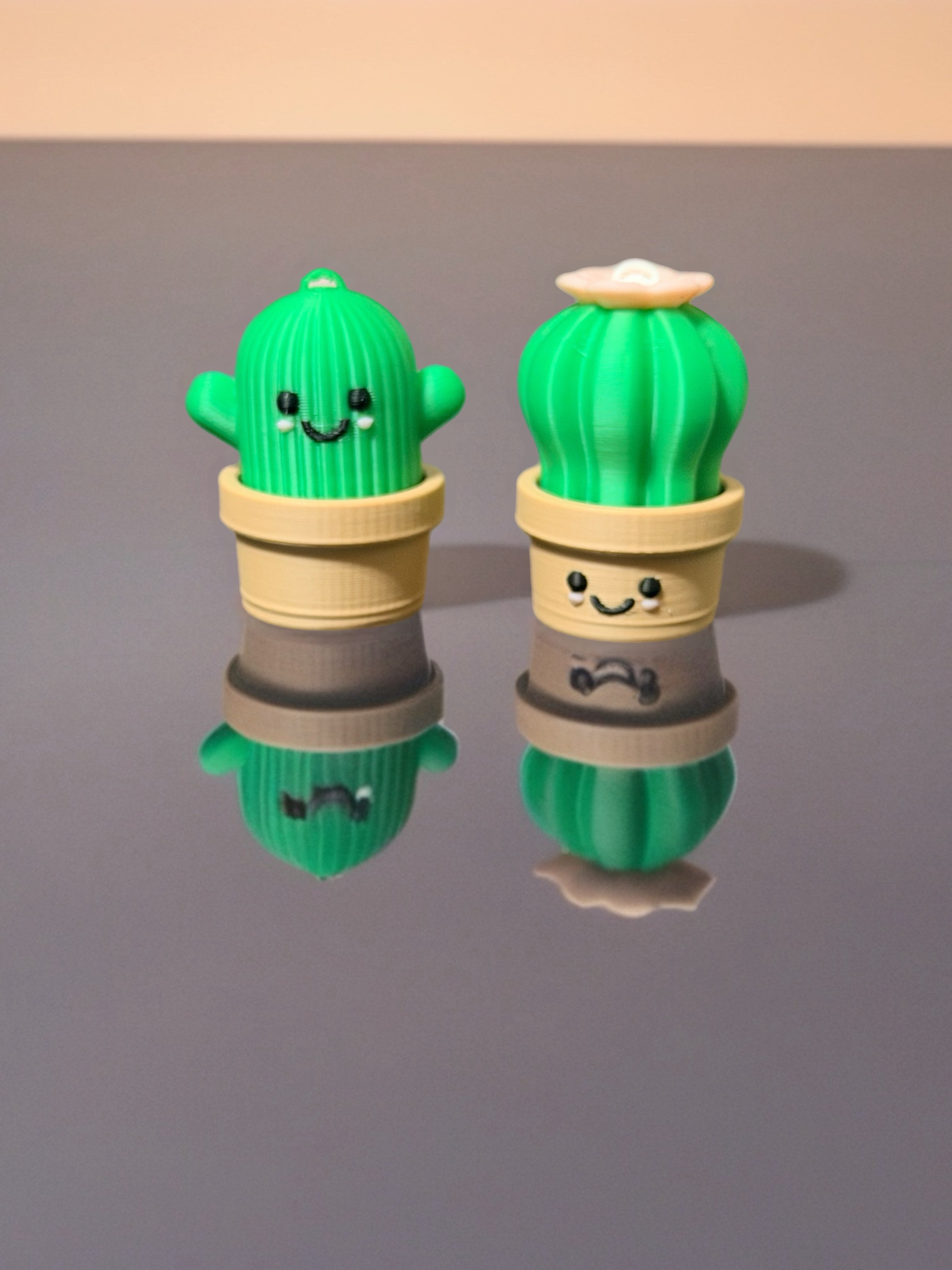 Cactus Fidget toy