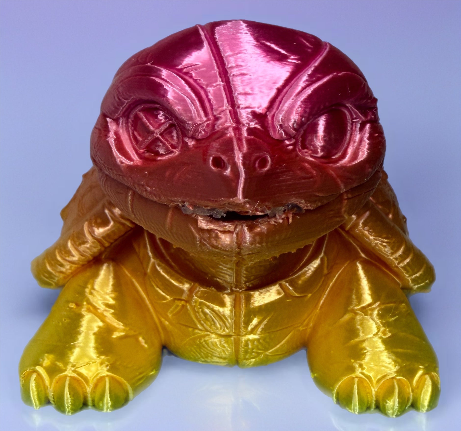 Cute Turtle Mold
