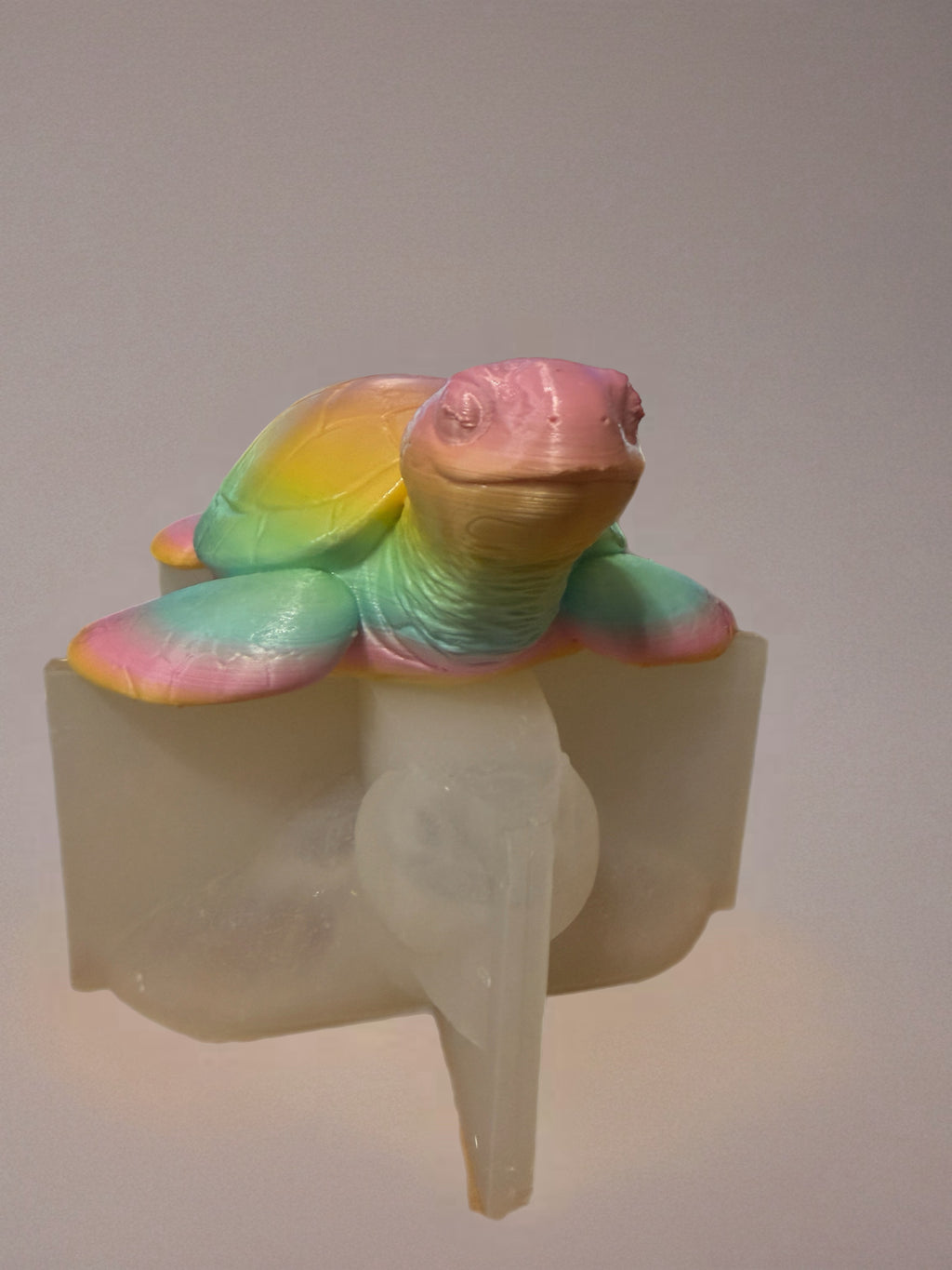 9 inch sea turtle mold