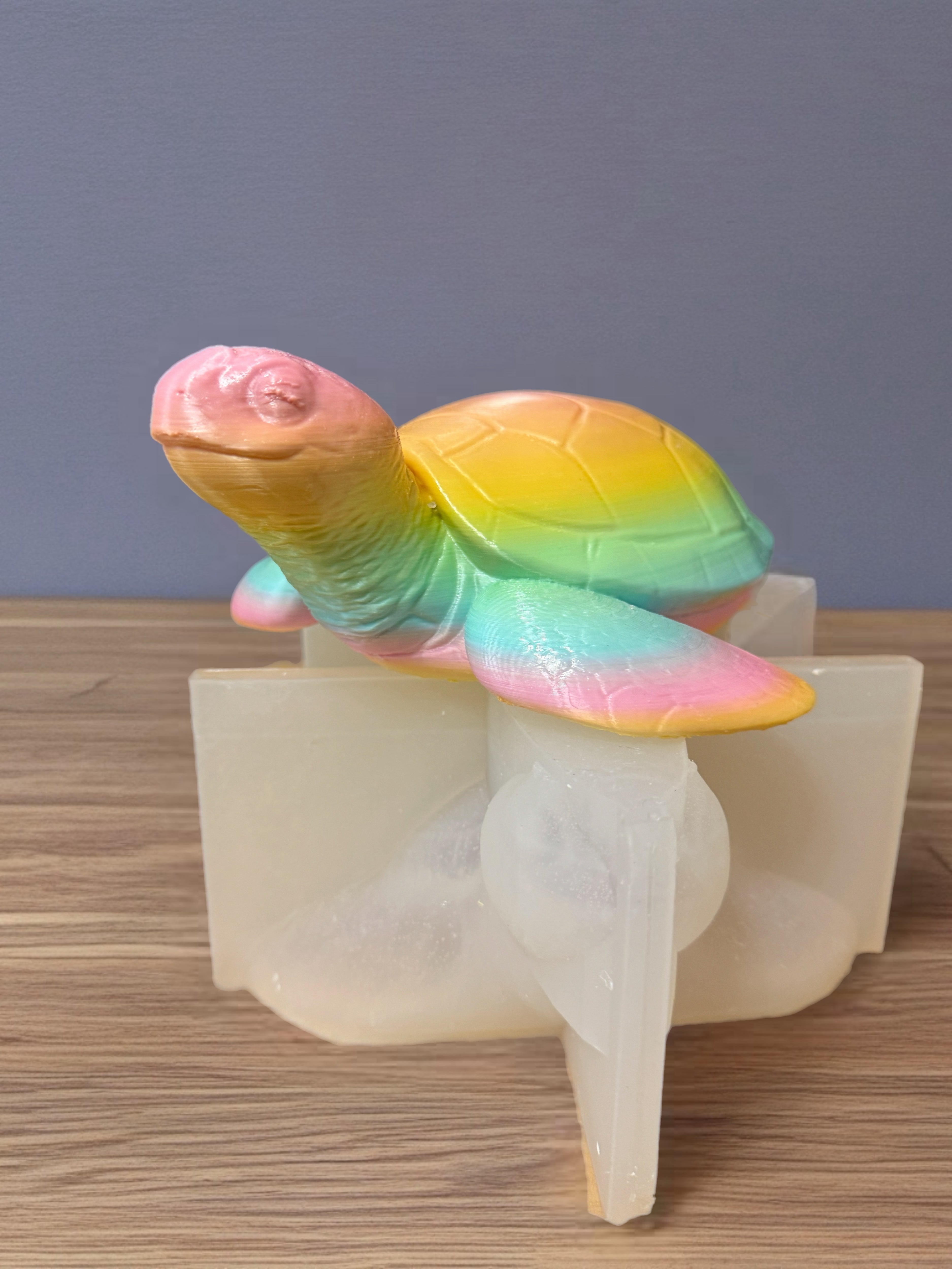9 inch sea turtle mold