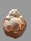 Cat in barrel container silicone mold